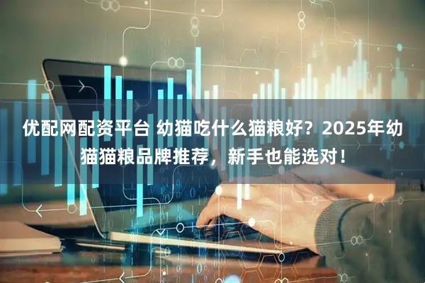 优配网配资平台 幼猫吃什么猫粮好？2025年幼猫猫粮品牌推荐，新手也能选对！