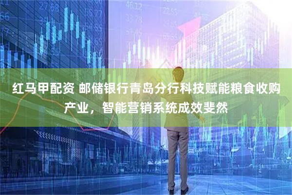 红马甲配资 邮储银行青岛分行科技赋能粮食收购产业，智能营销系统成效斐然