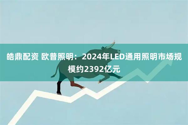 皓鼎配资 欧普照明：2024年LED通用照明市场规模约2392亿元