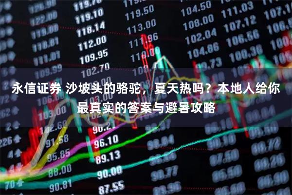 永信证券 沙坡头的骆驼，夏天热吗？本地人给你最真实的答案与避暑攻略